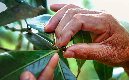 6月5日：與活態(tài)遺產(chǎn)處共同慶祝世界環(huán)境日