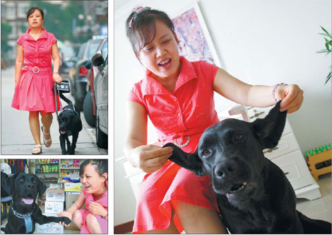 Guide dogs encounter blind spot