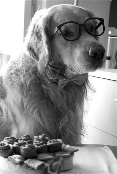 Every dog has its day for dinner