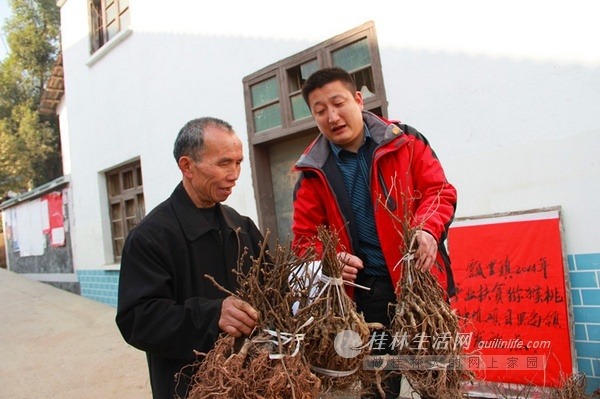 新春走基層:節(jié)前鄉(xiāng)鎮(zhèn)干部不應酬迎檢而是下村調查服務