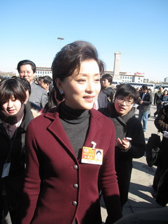 全國政協委員楊瀾接受記者采訪