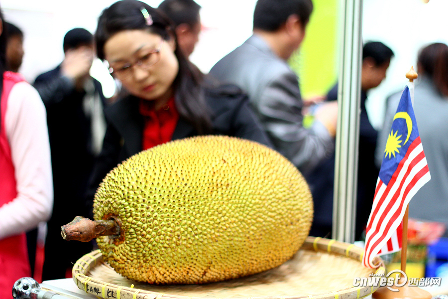 西洽會(huì)上展品琳瑯滿目 觀者目不暇接