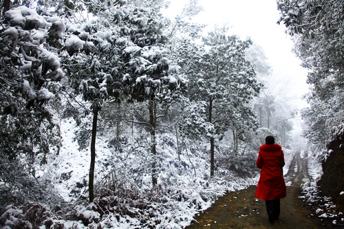 威遠縣慈姑塘雪景