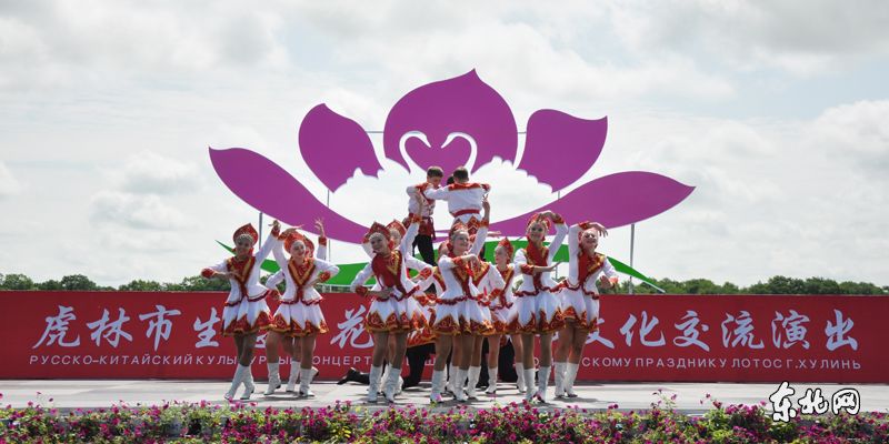 虎林市生態荷花節開幕 千畝野荷競綻放