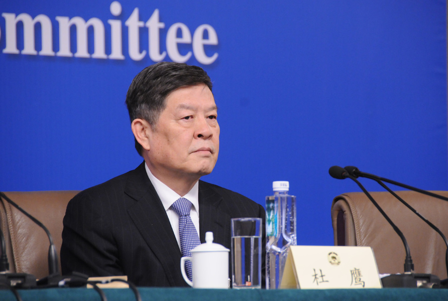 全國(guó)政協(xié)委員、國(guó)家發(fā)改委副主任杜鷹