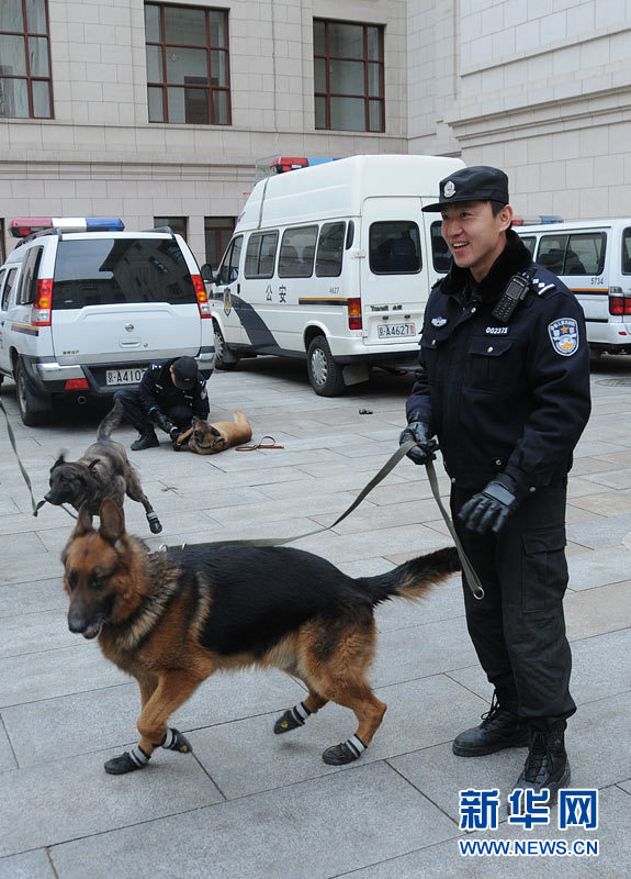 警犬“助陣”兩會安保工作：大會堂內細致檢查