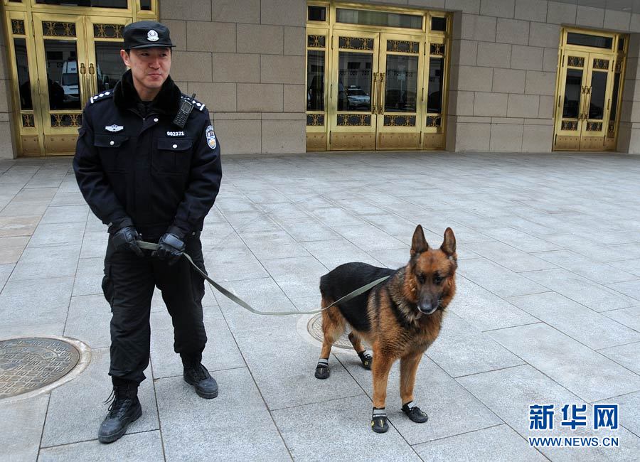 警犬“助陣”兩會安保工作:大會堂內細致檢查
