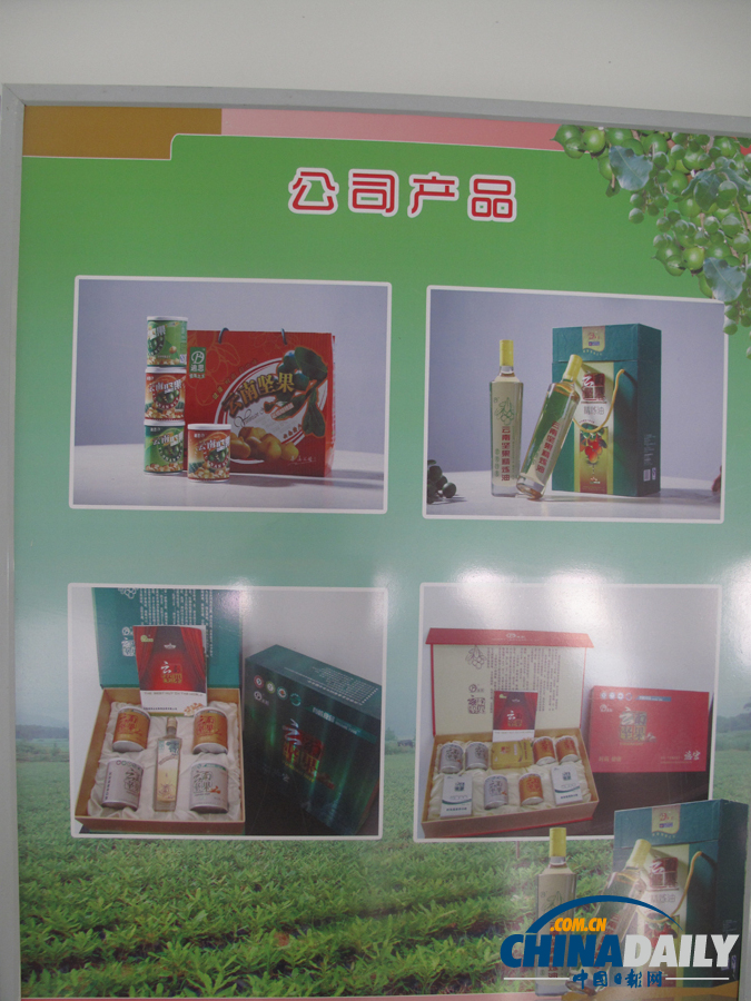云南德宏盈江 “中國堅果之鄉(xiāng)”