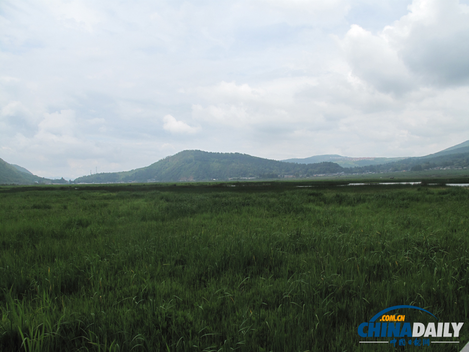 走進騰沖北海濕地 體驗“人在畫中游”的美景