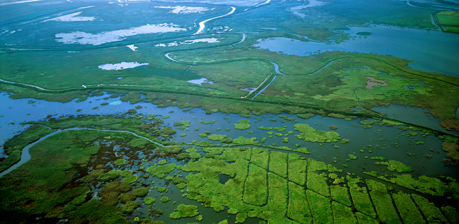 鄱陽(yáng)湖國(guó)家濕地公園：風(fēng)光旖旎 詩(shī)情畫(huà)意