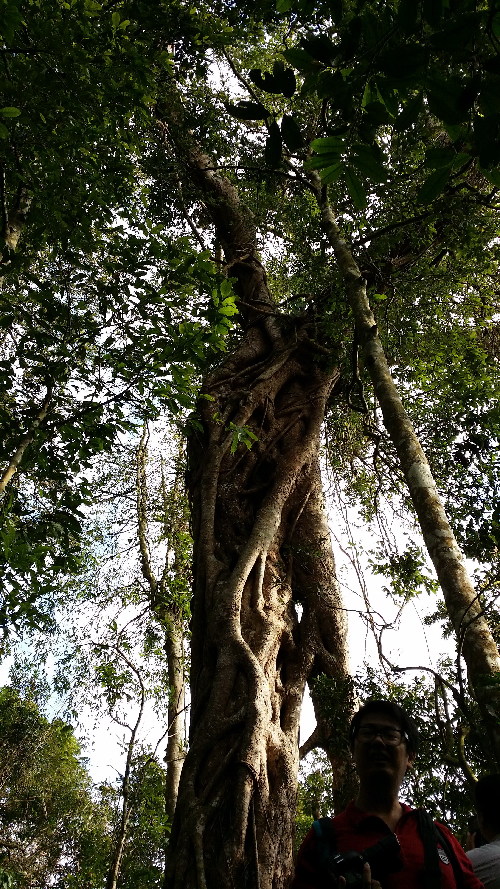 海南樂(lè)東地產(chǎn)經(jīng)濟(jì)突顯獨(dú)特的自然環(huán)境優(yōu)勢(shì)