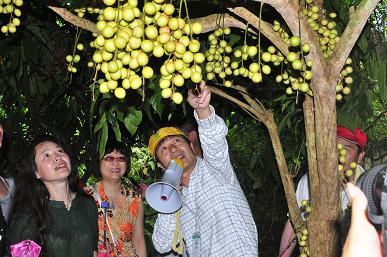 科學(xué)家版納植物園做導(dǎo)游