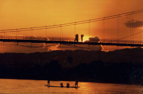 科學(xué)家版納植物園做導(dǎo)游