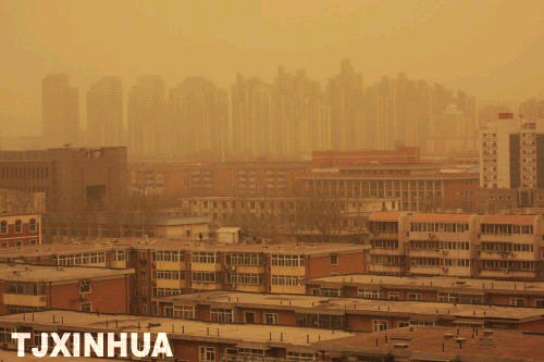 津城盡披黃金甲