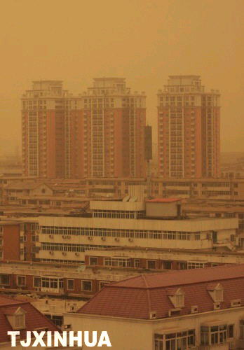 津城盡披黃金甲