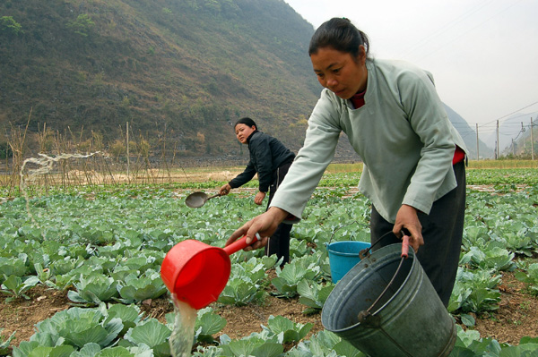 廣西樂業(yè)旱情嚴重