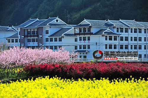 網(wǎng)曝張家界最牛鄉(xiāng)村學校