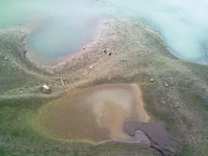 南濱路段江水怎么“五顏六色”的？
