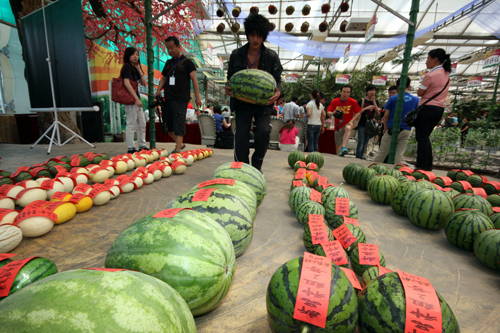 第22屆“興農杯”全國西甜瓜擂臺賽揭曉