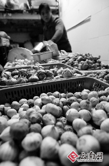 新蒜已賣空 蒜價(jià)卻未落全國又現(xiàn)漲價(jià)潮 我省市場漲幅小