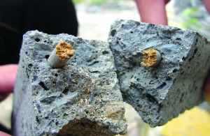 合肥多家建筑工地混凝土里穿竹簽代替鋼筋