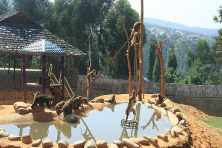 云南野生動(dòng)物園為動(dòng)物過(guò)中秋