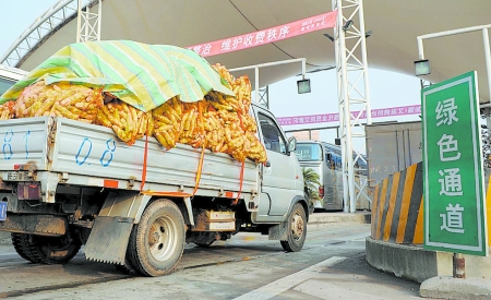 昨起 鮮活農產品免費通行