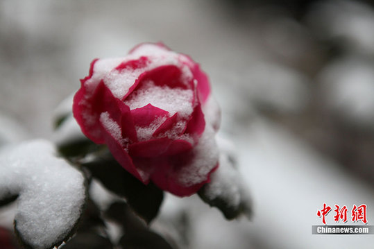 中國大部分地區普遍降溫 迎來降雪天氣
