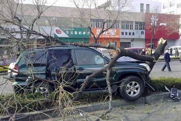 山東泰安發生持槍殺人案 2民警1協警殉職(組圖)