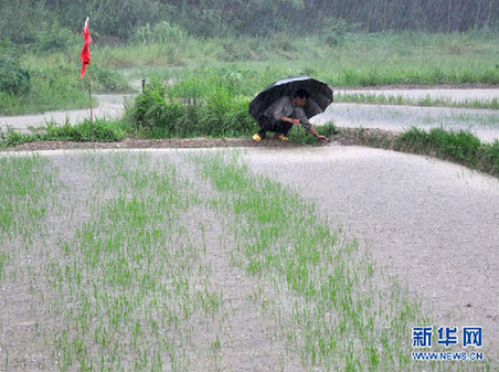 長(zhǎng)江中下游“旱澇急轉(zhuǎn)” 專家解讀極端天氣現(xiàn)象