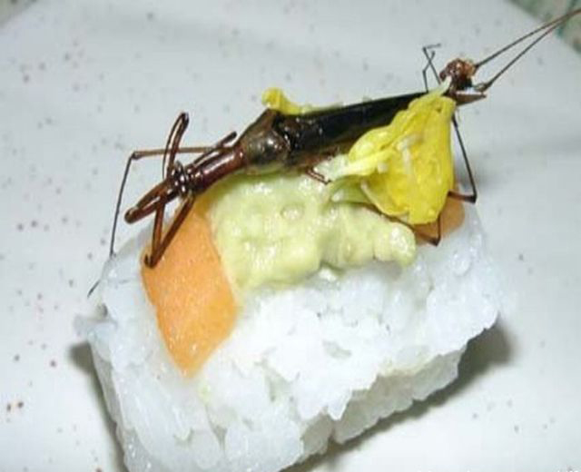 重口味:昆蟲壽司你敢吃嗎?