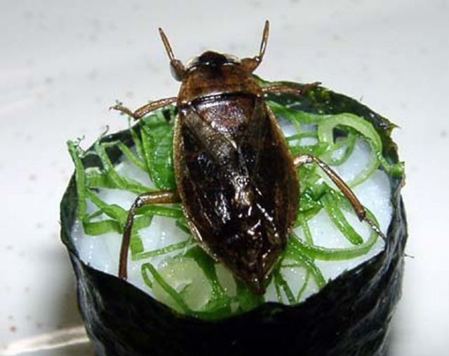 重口味:昆蟲壽司你敢吃嗎?