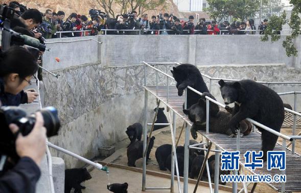 “活熊取膽”該達成什么樣的共識