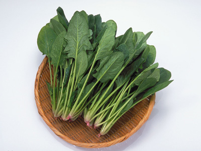 養生：雞蛋讓你注意力集中 秋季多吃8食物超健康