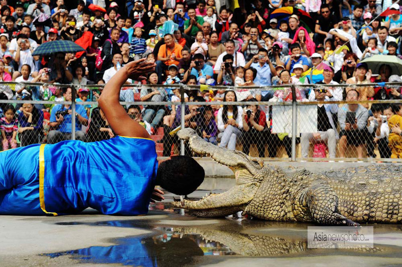 《中國(guó)日?qǐng)?bào)》國(guó)慶特刊精選：9月30日—10月7日