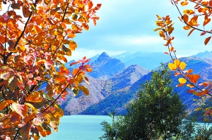 北京供熱辦：下周如遇寒流可隨時供熱 不會多收費(fèi)