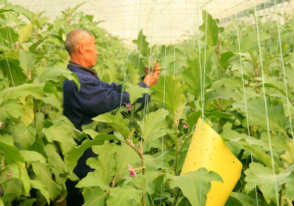 生態農業，生態運城