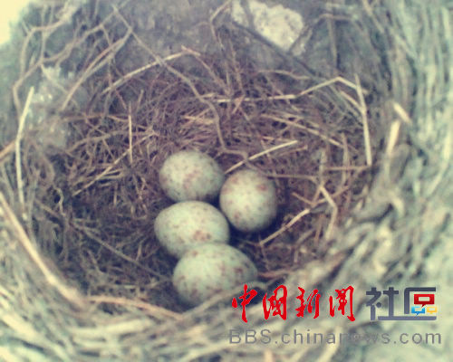 80后童年的冬天是這樣過的 這些你都做過嗎？