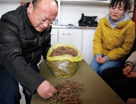 從質疑到感動：打假斗士的極草之旅