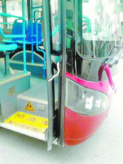 武漢一公交車上驚現1米長毒蛇(圖)