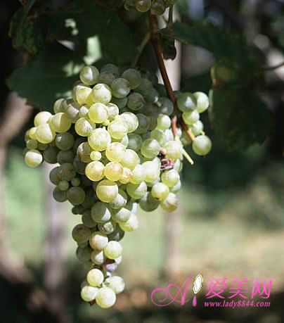 養生：春季飲食 菠蘿香蕉這五種水果要少吃【圖】