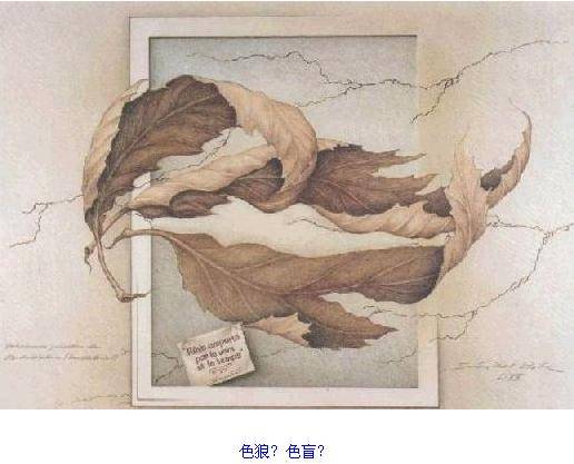 瘋狂的圖片！ 測測你的心理和眼力