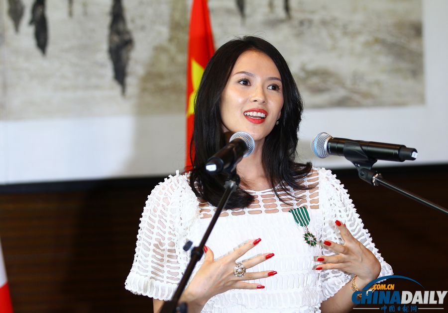 章子怡、劉燁獲頒法國藝術與文學騎士勛章