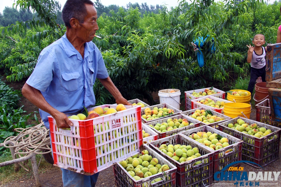 國家統(tǒng)計局：上半年GDP同比增長7.6%
