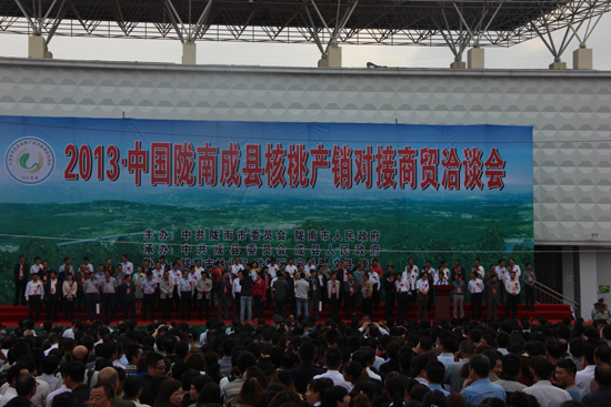 甘肅隴南成縣利用網絡新媒體推介做強核桃產業 促進農民增收