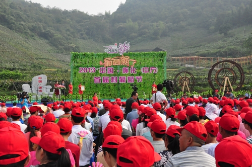 中方首屆刺葡萄節開幕 游客比賽吃葡萄(圖)