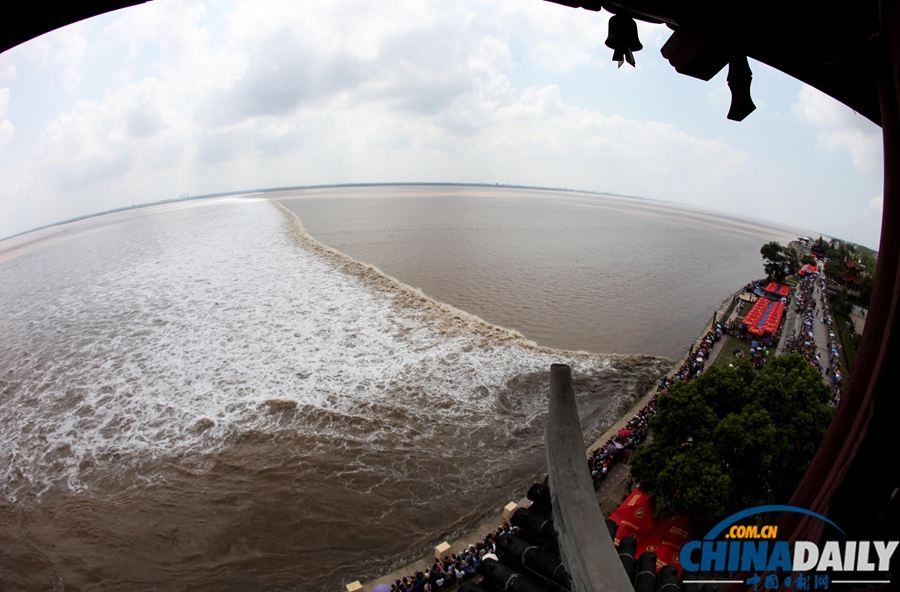 錢江潮水兇險 觀潮者驚慌而逃