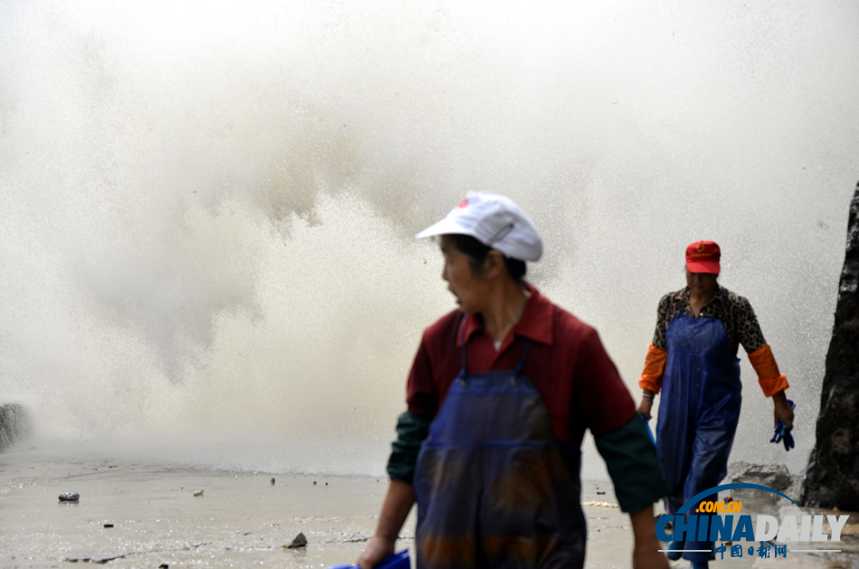 受強(qiáng)臺(tái)風(fēng)“丹娜絲”影響 浙江沿海再掀巨浪