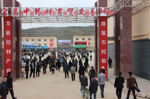 甘肅宕昌縣中藥材產(chǎn)銷對接洽談會喜簽項目22個