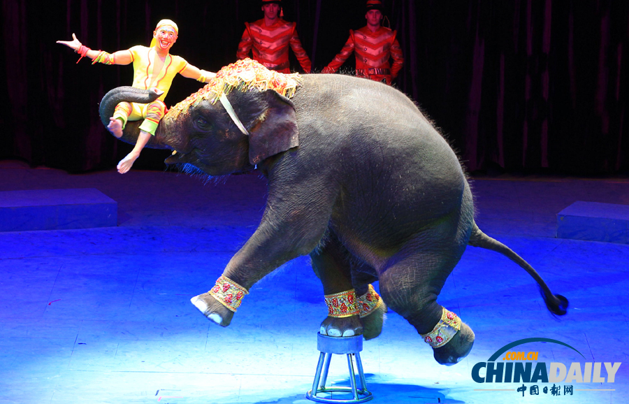 中國(guó)日?qǐng)?bào)一周圖片精選：11月16日——22日